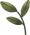 leaves - small 6
