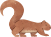 squirrel 1